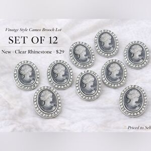Vintage Style Black/Crm Cameo Brooch Set/Bundle 12 Rhinestone Victorian Pins NWT